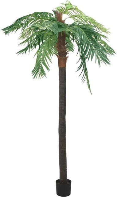 furnicato Künstliche Phönixpalme mit Topf in Grün, Höhe: 305 cm - Bild 1