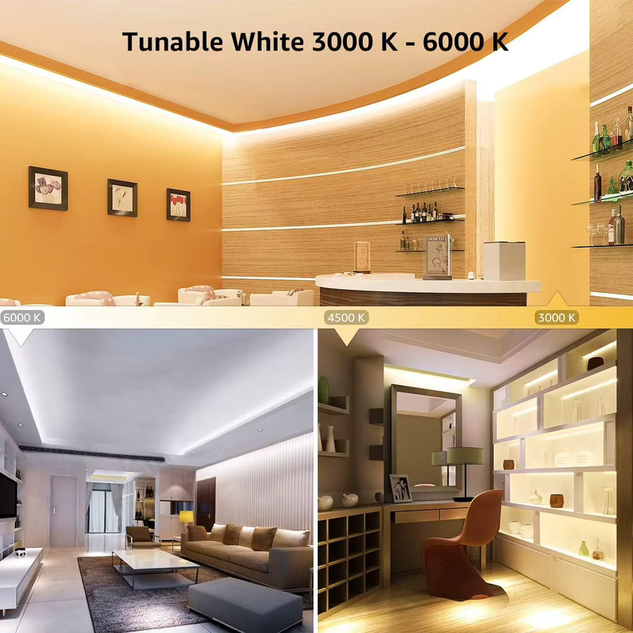 CENFAYA Tuya Zigbee 2-Kanal LED-Controller für 12V 24V COB CCT WW CW LED-Streifen mit 4-Zonen RF 2.4G Dimm-Fernbedienung, kompatibel mit Alexa und Google Assistant, Farbe: Weiß - Bild 5