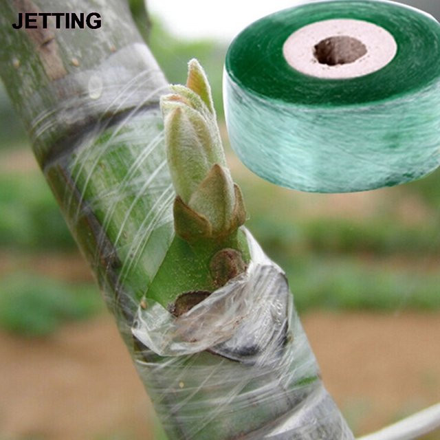 Pfropfband aus PVC in Grün für Obstbäume und Gartenpflege, 1 Rolle, Breite: 2 cm, Länge: 100 m - Bild 1