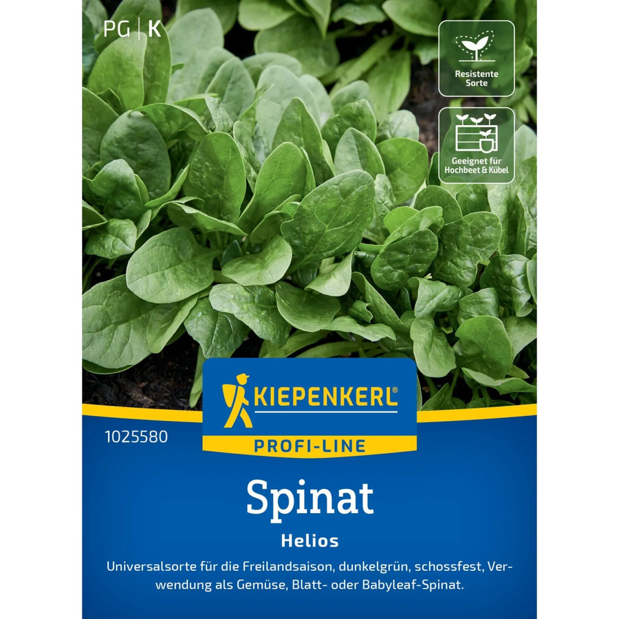 Kiepenkerl Profi-Line Spinat Helios F1-Hybride Gemüsesaatgut für Freiland, Gewächshaus und Hochbeet - Bild 2