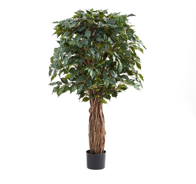 Künstlicher Ficus Baum von Aplanta, Höhe: 150 cm - Bild 1