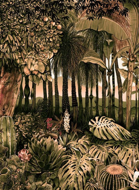 Coordonne Panoramische Tapete Botanico in Rosa und Grün mit Palmen und Dschungel-Motiv, zeitgenössisches Vliesdesign - Bild 1