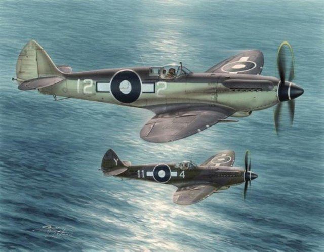 Special Hobby Seafire Mk.XV Far East Service, 1:48 - Bild 1
