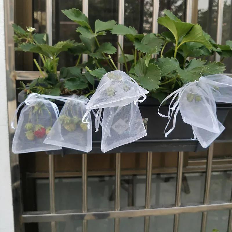 YC Direct Pflanzenschutz Netze für Obst und Gemüse, 50 Stück, Rot, Breite: 10 cm, Höhe: 15 cm - Bild 5