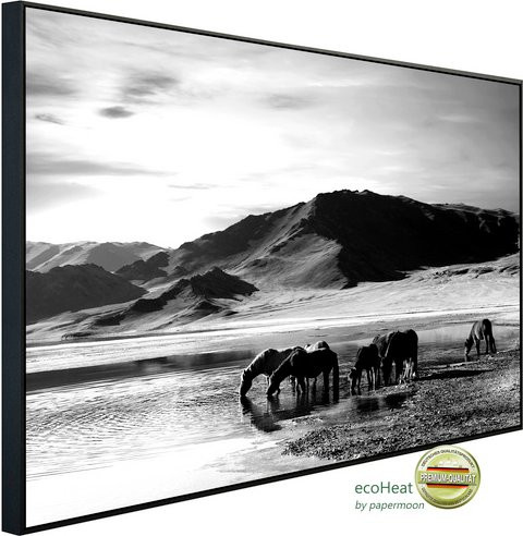 papermoon Infrarotheizung EcoHeat Landschaft Schwarz Weiss mit Matt-Effekt und App-Steuerung - Bild 1