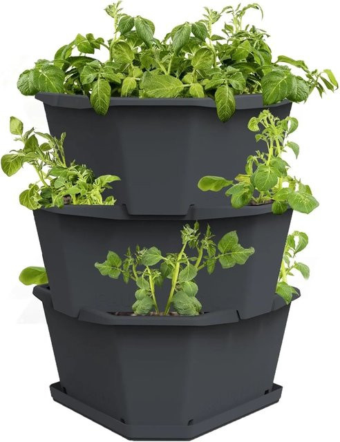 Gusta Garden Paul Potato Kartoffelturm Hochbeet mit 3 Etagen und Untersetzer, Anthrazit, Höhe: 380 cm - Bild 1