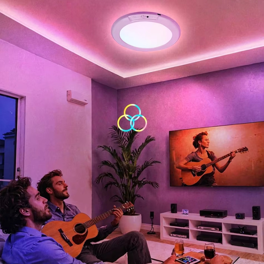 CETANT RGB-Deckenleuchte in Weiß, runde LED-Nachtleuchte mit Bewegungssensor, magnetische Halterung und wiederaufladbarem Akku für Wohnzimmer, Schlafzimmer und Treppenhäuser - Bild 2