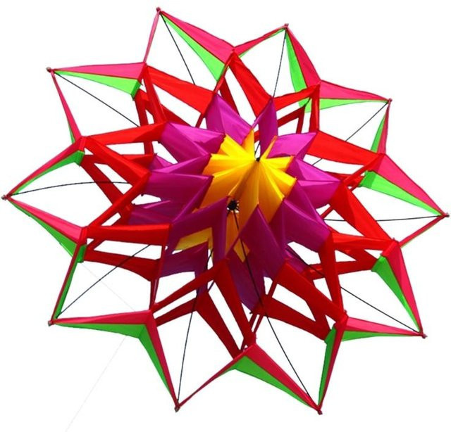 Lotusblumen Drachen 3D Dampfnudel Polyester Bunt / Mehrfarbig - Bild 1