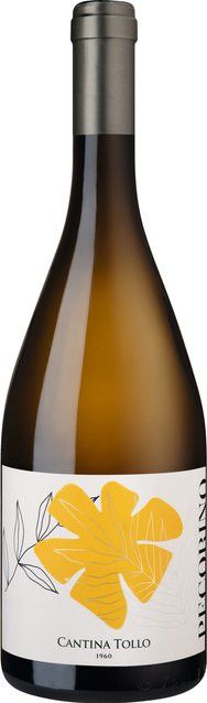Cantina Tollo Pecorino Weißwein, Abruzzen, 2024, trocken, 0,75 l - Bild 1