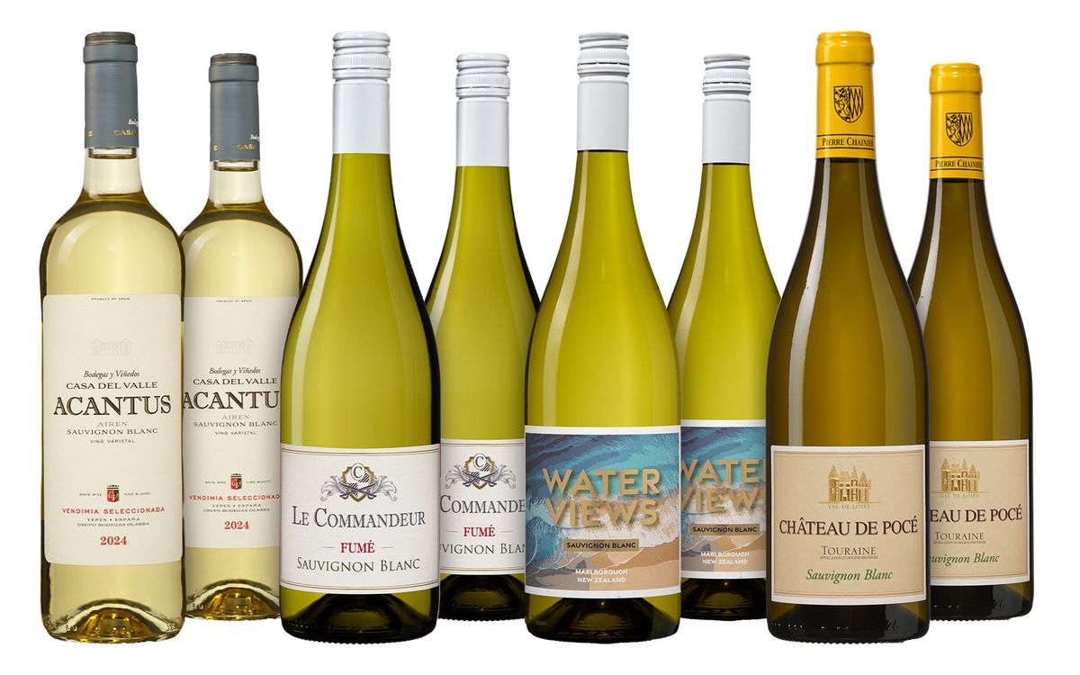 dieweinboerse.de Sauvignon Blanc Weißwein, fruchtig, 0,75 l - Bild 2