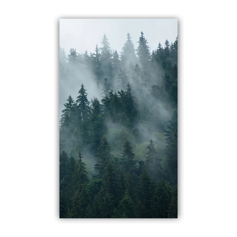 Walllux Duschrückwand Tannenwald in Holzoptik aus Alu-Verbund, Farbe: Grün, Breite: 150 cm, Höhe: 255 cm, Stärke: 3 mm - Bild 2