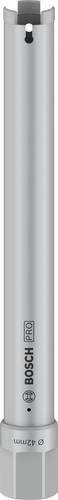 Bosch Diamant-Trockenbohrkrone in Silber, Durchmesser: 42 mm - Bild 1