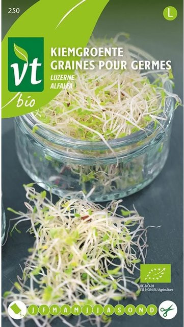 Alfalfa Samen von arborix zur Keimung, 16 g - Bild 1