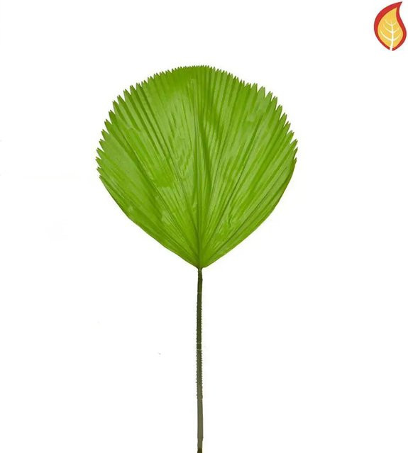 Künstlicher Palmenzweig Rüdiger von Aplanta, Grün, Höhe: 79 cm - Bild 1