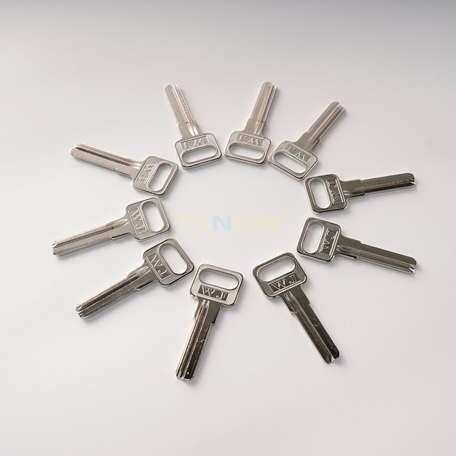 10 Stück ITSkey Dimple-Schlüssel B316 Haus- und Türschlüsselrohlinge in Silber - Bild 1