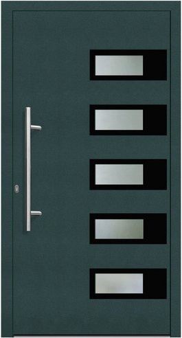 KNOCK Flügelüberdeckende Kunststoff-Haustür Terra in Moosgrün mit Glaseinsatz und Aluminium-Elementen, Höhe: 210,0 cm, Breite: 100,0 cm - Bild 1
