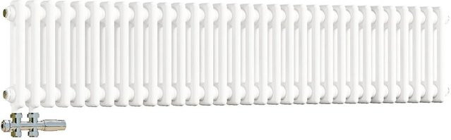Duschparadies Traditioneller Heizkörper für Warmwasserbetrieb Weiß B: 30 cm, H: 146 cm, 2-Säulen - Bild 1