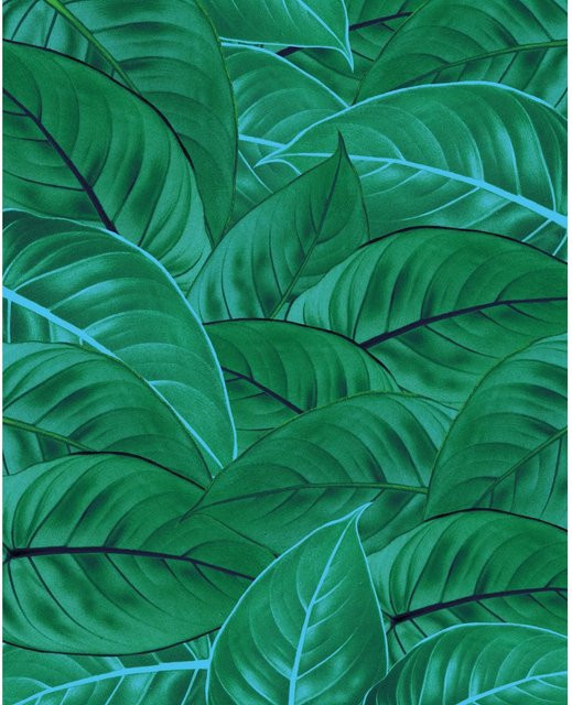 Komar Fototapete Vlies Jungle Leaves in Grün, Breite: 250 cm, Höhe: 200 cm - Bild 1