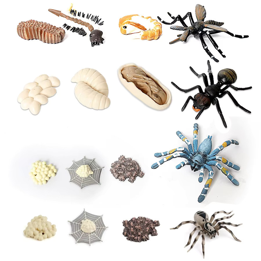 SamKaLa Prähistorische Meerestiere Figuren aus Kunststoff für Kinder mit Baculite, Opabinia, Nautilus, Trilobita und Eurypterida Miniatur-Modelle - Bild 2