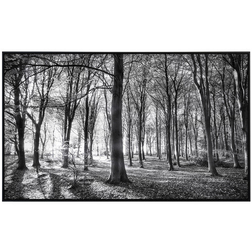 papermoon EcoHeat Infrarotheizung Wald Schwarz Weiss mit App-Steuerung und Überhitzungsschutz - Bild 2