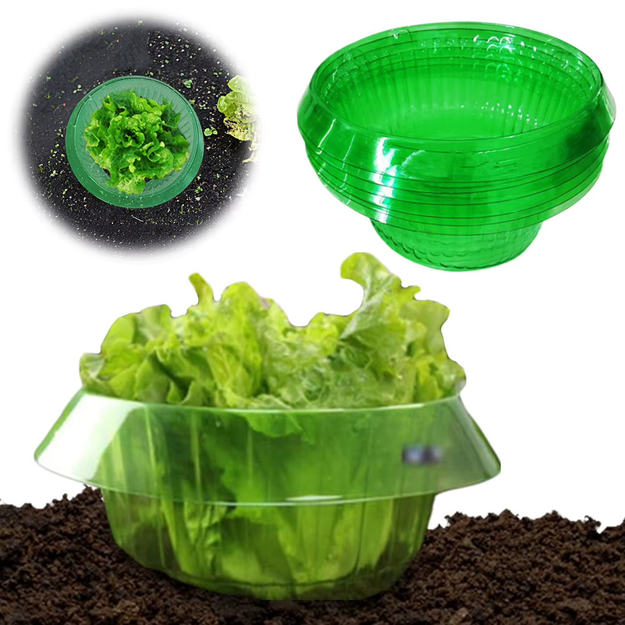 Wiederverwendbare Schneckenhalsbänder zum Pflanzenschutz von Planter - Bild 4