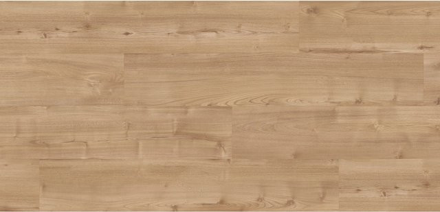 Kaindl Masterfloor XPT Laminat Akazie Chester Valeria in Braun, 8 mm wasserfest - Bild 1