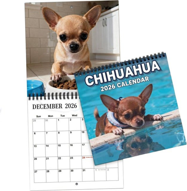 Hundewandkalender 2026 für Erwachsene, Mehrfarbig - Bild 1