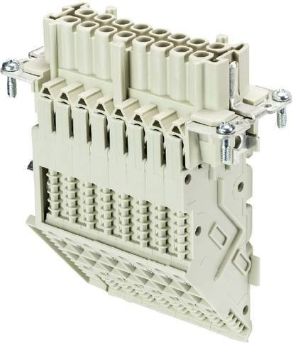 Wieland Electric Klemmenadapter 70.105.1653.3, 16-polig, Grau, 10 Stück - Bild 1
