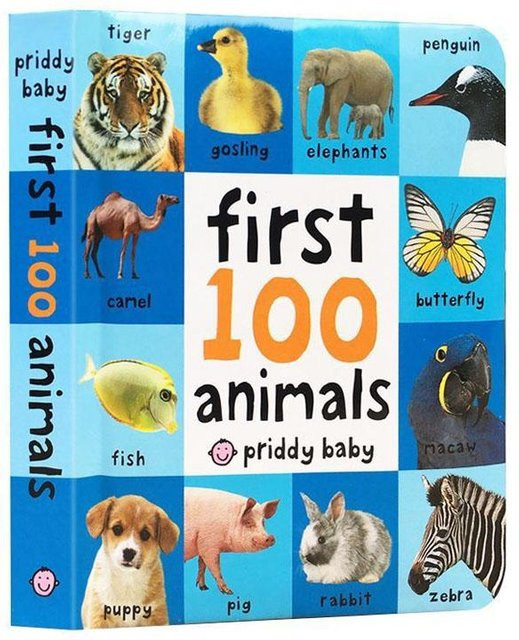 Englische kognitive Enzyklopädie für Kinder 0-2 Jahre Frühes Lernen, Pappbilderbuch - Bild 1