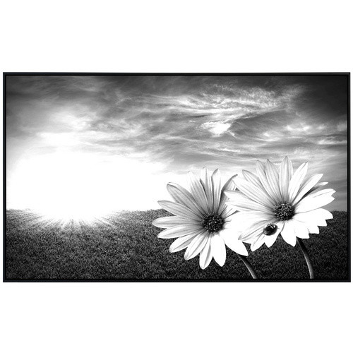 papermoon EcoHeat Infrarotheizung Blumen Schwarz Weiss Matt-Effekt mit App-Steuerung und Überhitzungsschutz - Bild 2
