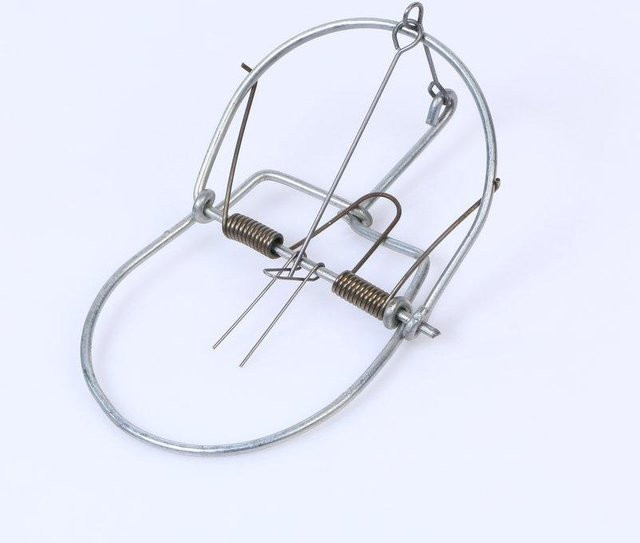 HauteHive Hochleistungsfähige Außen-Rattenfalle aus Eisen in Silber, Small - Bild 1