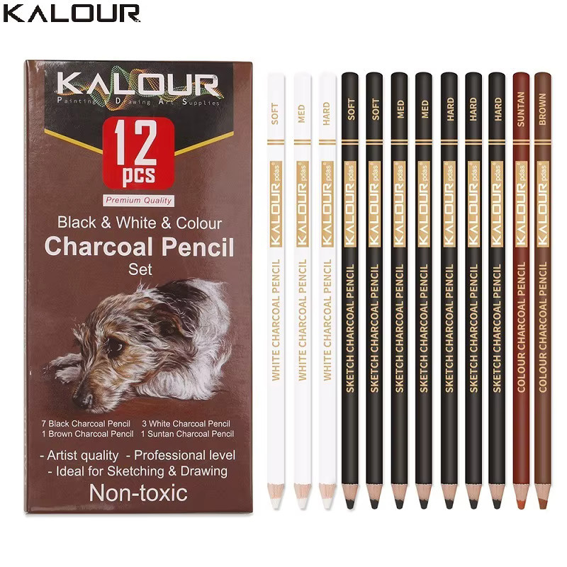 Professionelles Carbon Bleistift Set für Skizzen und Schattenmalerei in Graphit und Weiß für Künstler und Anfänger - Bild 2