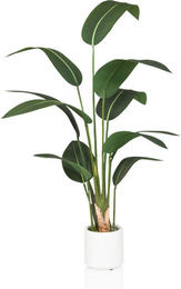 hjh OFFICE Kunstpflanze Strelitzia Paradiesvogelblume in Grün aus Kunststoff, Höhe: 150 cm - Bild 1