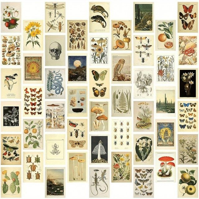 50-teiliges Set Vintage-Sammelkarten mit botanischen Illustrationen von Pflanzen, Schmetterlingen und Pilzen in Multicolour zur Raumdekoration - Bild 1