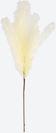 Künstliches Pampasgras in Beige als Bohemian Dekoration, Höhe: 60 cm