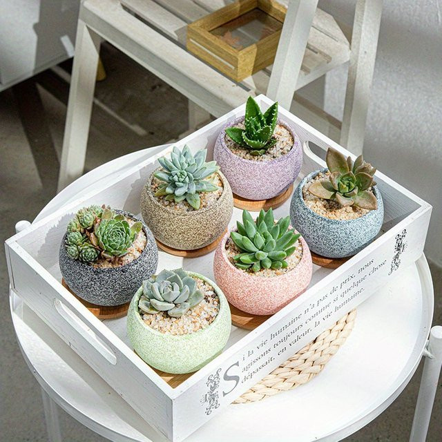 Kreativer Keramik-Blumentopf in Blau für Sukkulenten und Zimmerpflanzen, rundes Pflanzgefäß für Indoor und Outdoor, B/T/H: 8,5 x 6,3 x 1,0 cm - Bild 1
