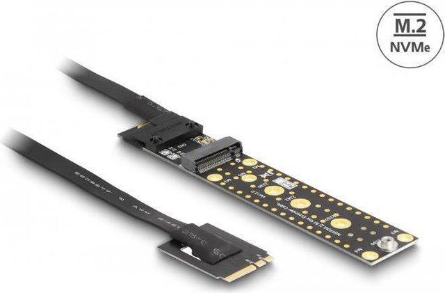 Delock Riser-Karte M.2 NVMe SSD in Schwarz - Bild 1