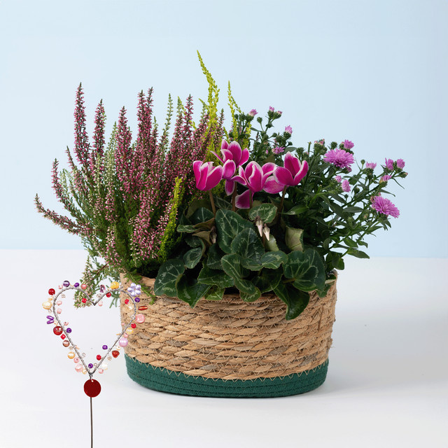 BLUME2000 Herbst Trio mit Autumn Love Perlenherzstecker für den Outdoor-Bereich - Bild 1