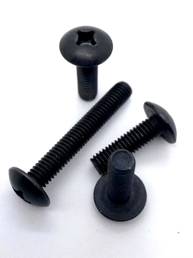 TINGGOO Kreuzschlitz Truss Kopfschrauben aus 304 Edelstahl in Schwarz, JISB1111T M2 bis M6 - Bild 4