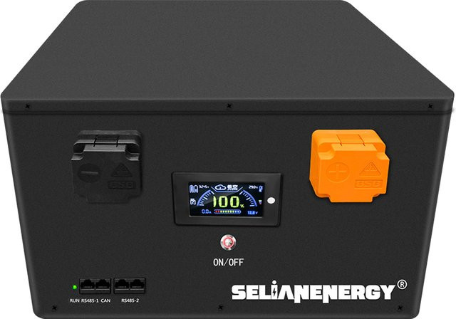 SelianEnergy 4S 12V 628Ah LiFePO4 DIY Batteriebox mit JK 300A Smart BMS und EVE MB56 Zellen, Schwarz - Bild 1