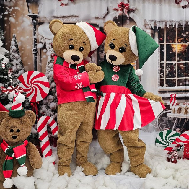 Cuscosplay Funny Store Teddybär-Maskottchen-Kostüm, braun, Plüsch / Textil - Bild 1