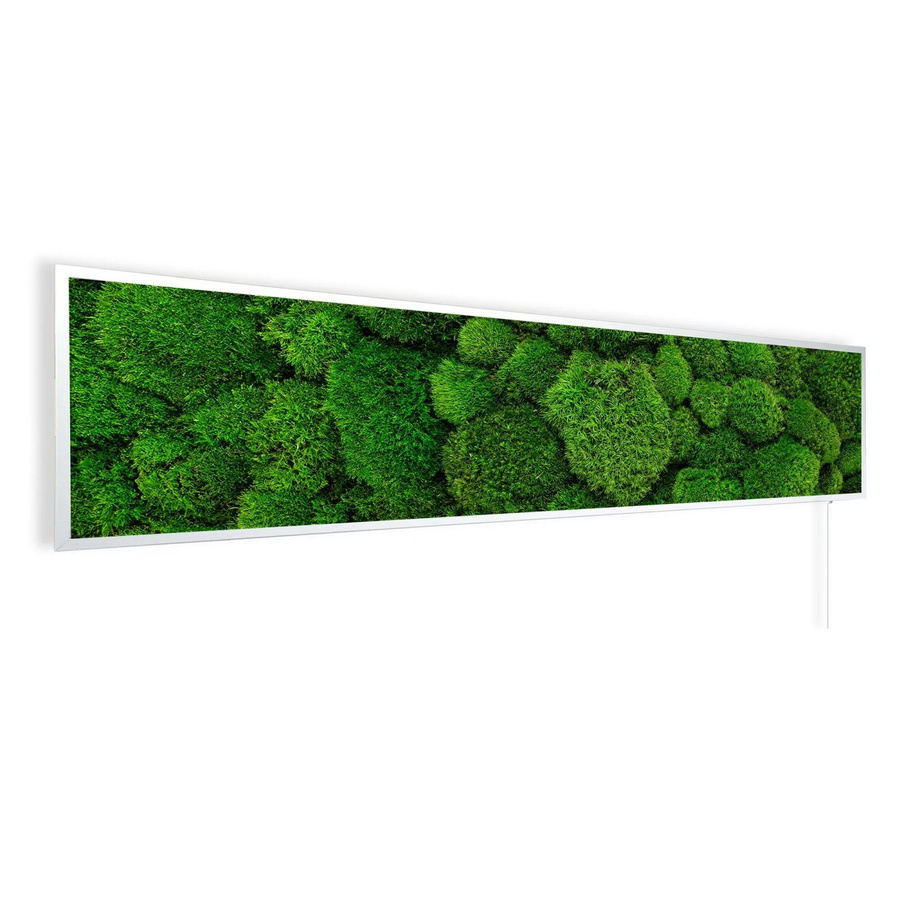 Könighaus Infrarotheizung Panorama Buena Vista Moos in Weiß, B: 120 cm, H: 30 cm, T: 30 cm - Bild 2