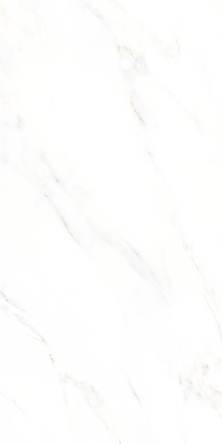 Bodenfliese Feinsteinzeug United Tile und Mosaic Marble Calacatta in Weiß, poliert, B: 60 cm, T: 30 cm - Bild 1