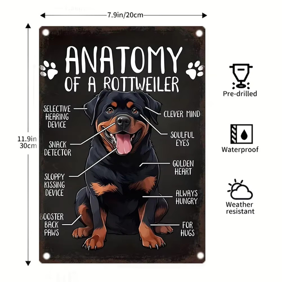 Vintage Rottweiler Anatomie Metall-Wandkunst von Potdemiel in Schwarz, B: 20,3 cm, H: 30,5 cm - Bild 3