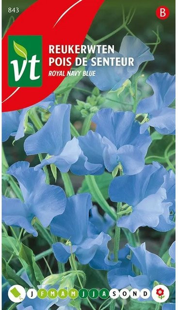 Arborix Kletterpflanzen Samen für tiefblaue Blüten, 3 g - Bild 1