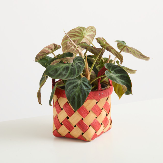 Holzkorb BLUME2000 mit Rautenmuster in Rot und Schwarz, Höhe: 17 cm, Breite: 14 cm, Tiefe: 17 cm - Bild 1