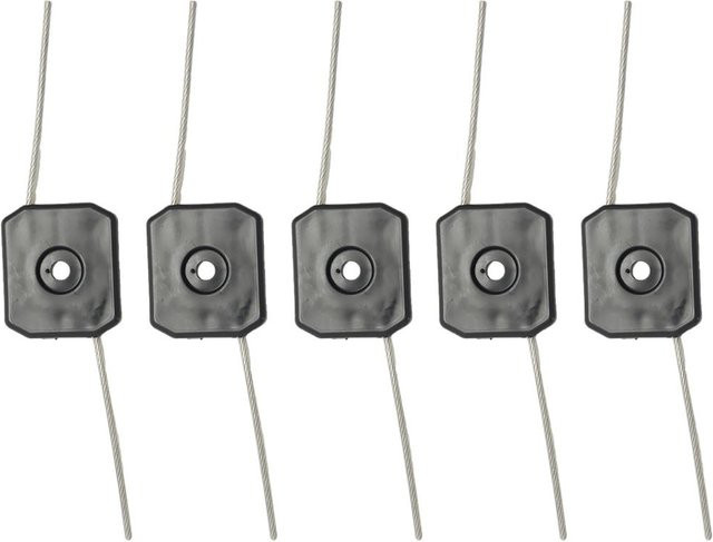 SafeWear Trimmerkopf für elektrische Rasentrimmer mit Trimmerfaden und Kunststoffplatte, 150 mm Schnittbreite, Gartenrasen Zubehör - Bild 1