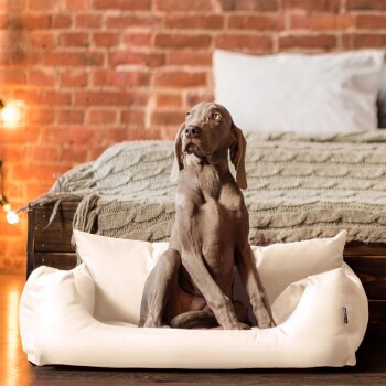 Tierlando NEMO Hundebett Hundesofa als Katzenbett in Beige mit abnehmbarem Bezug und erhöhten Rändern, B/T/H: 100 x 80 x 25 cm - Bild 2