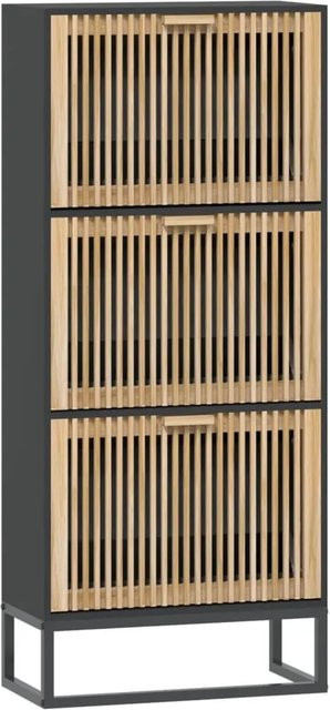 vidaXL Schuhschrank Schwarz aus Holzwerkstoff B: 52 cm, T: 25 cm, H: 120 cm - Bild 1
