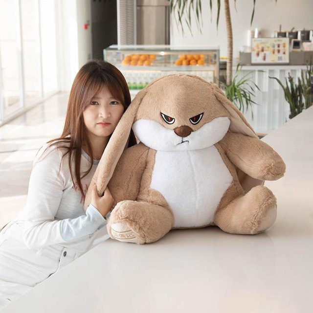 Yiran toy Wütendes Kaninchen-Plüschtier, Plüschpuppe, 45cm - Bild 1